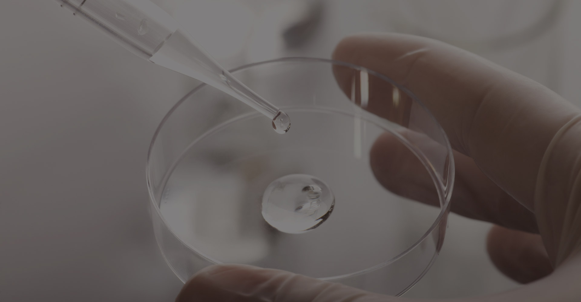 北京羅倫過濾技術(shù)集團(tuán)有限公司